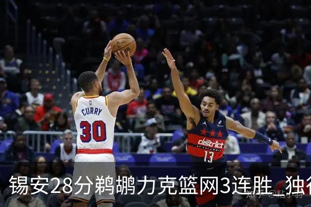 锡安28分鹈鹕力克篮网3连胜 独行侠险胜马刺